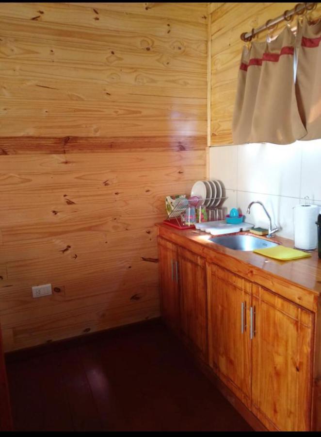 Buganvilias Puerto Iguazu
