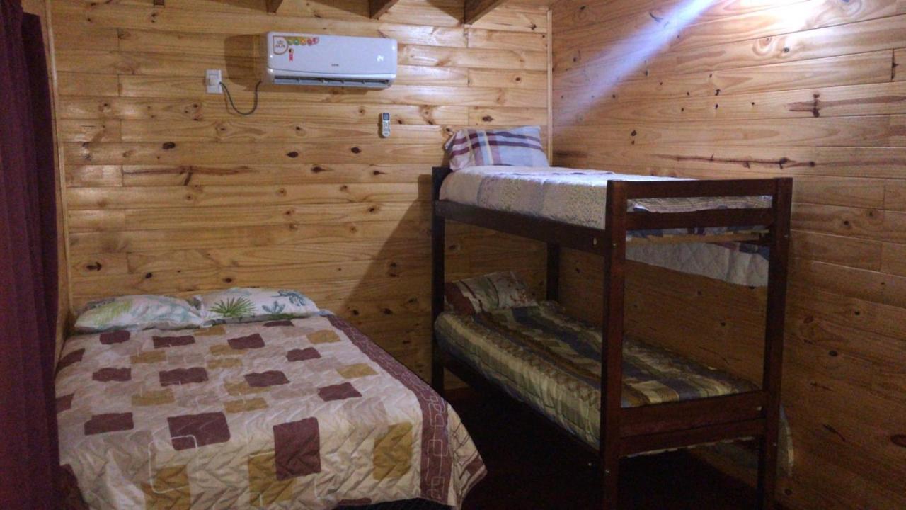 Buganvilias Puerto Iguazu